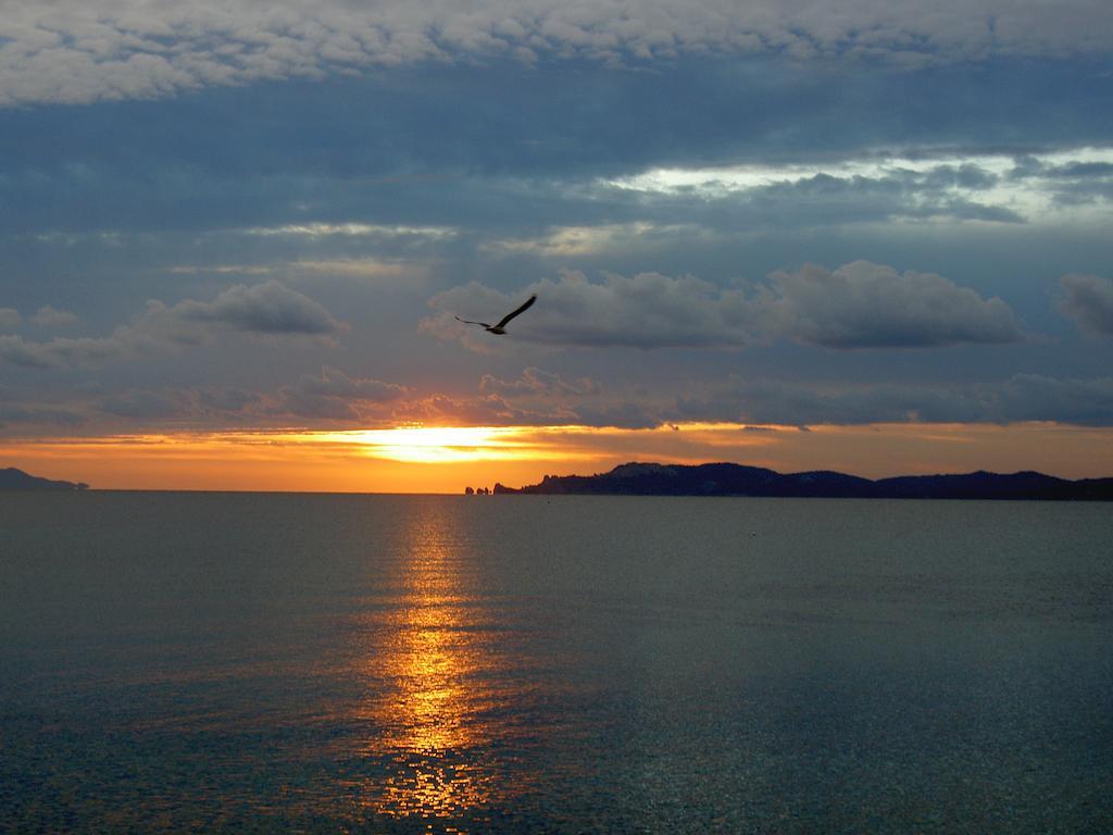 Hotel Lido Beach Hyères Exteriér fotografie